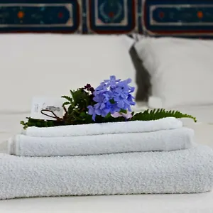 Buon Consiglio Appartement Lecce